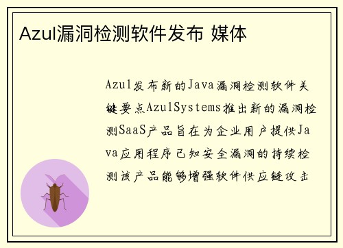 Azul漏洞检测软件发布 媒体